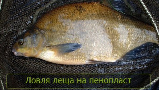 Fisheries Partnership Programme